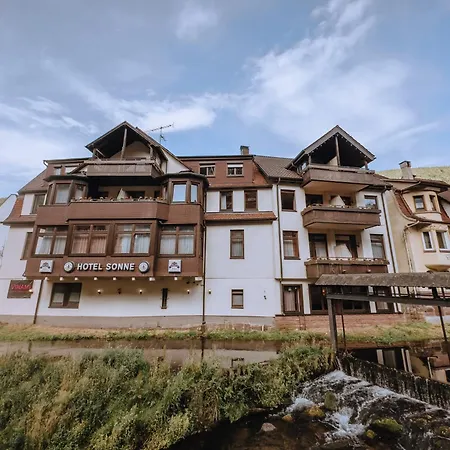 Vinami-Sonne Hotel 호텔 3*