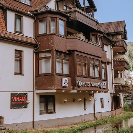 Hotel Sonne 3*
