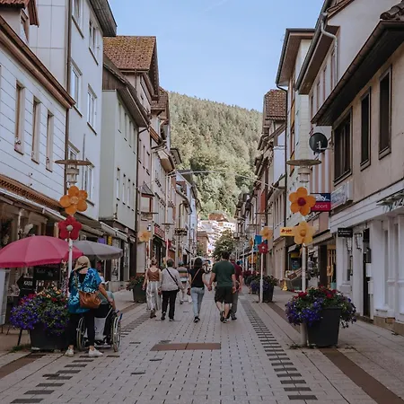 Vinami-sonne Bad Wildbad