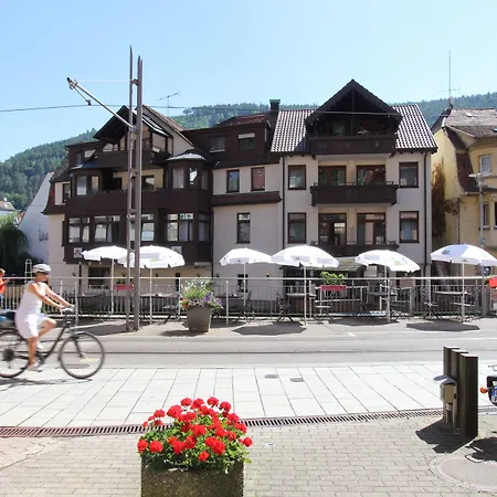 Otel Vinami-sonne Bad Wildbad